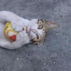 user profile picture