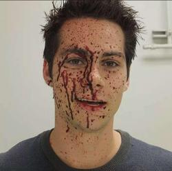 user profile picture