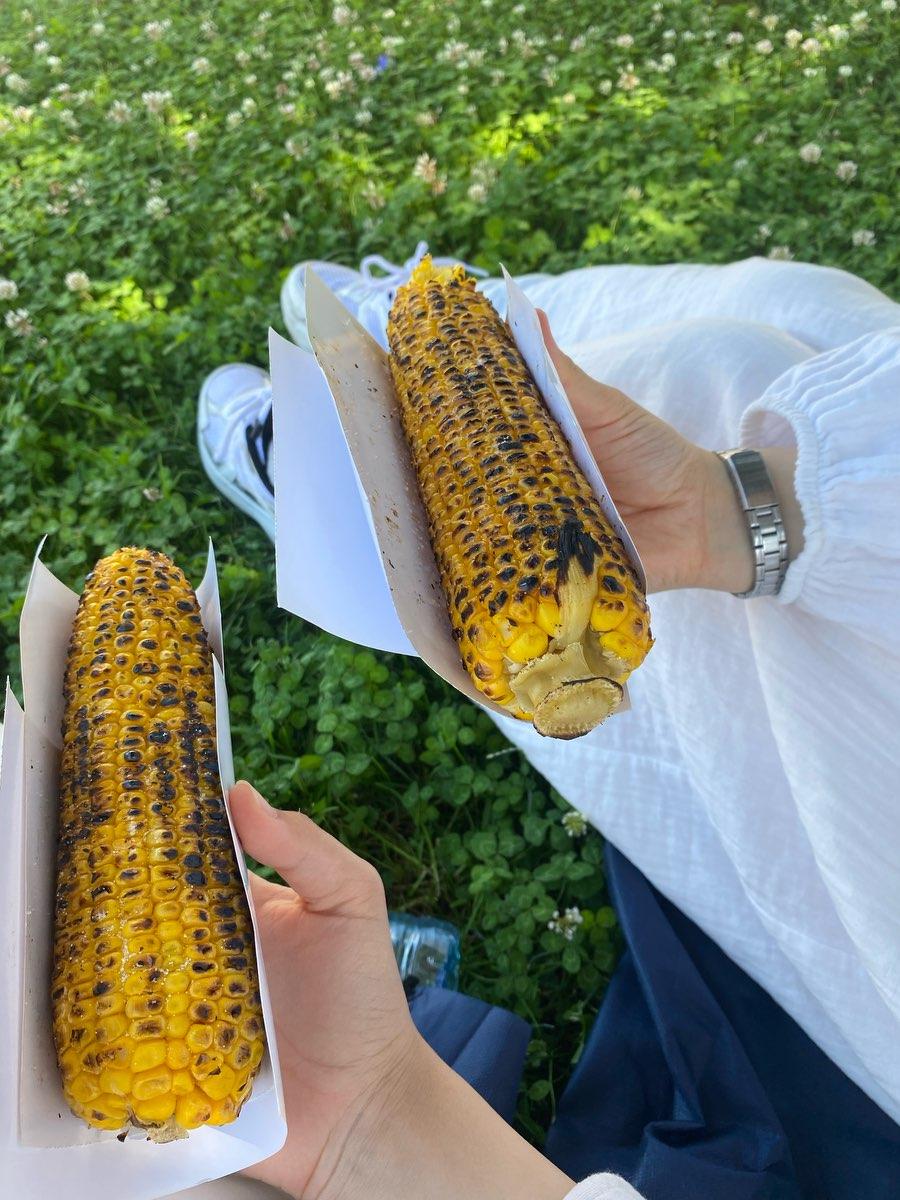 user profile picture