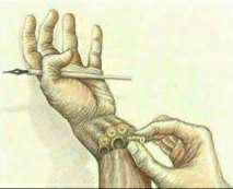 user profile picture