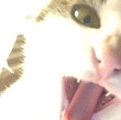 user profile picture