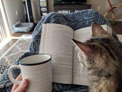 user profile picture