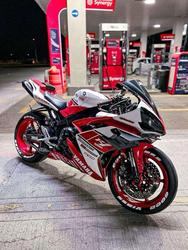 user profile picture