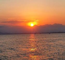 user profile picture