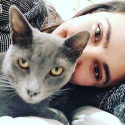 user profile picture