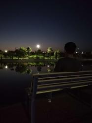 user profile picture