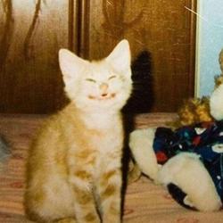 user profile picture