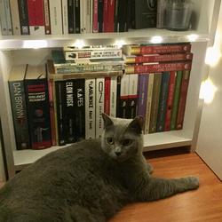 user profile picture