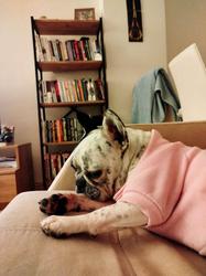 user profile picture