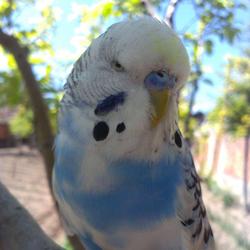 user profile picture