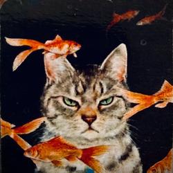 user profile picture