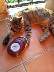 user profile picture