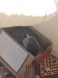 user profile picture