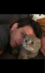 user profile picture